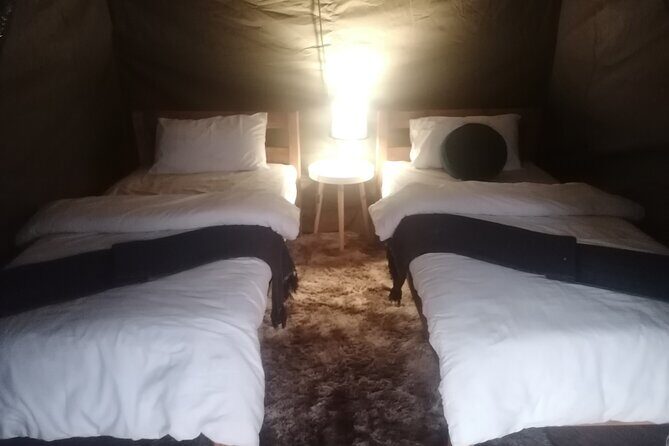 Two day Kruger National Park Safari from Johannesburg - Transportation and Logistics
