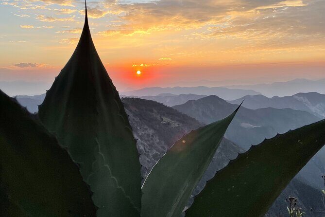 Two days adventure to Pinal de Amoles and Bernal, Querétaro. - FAQs