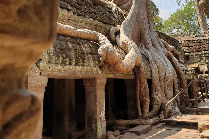 Two Days Angkor Tour - What Travelers Say