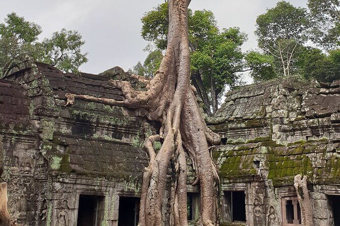 Two Days Angkor Tour - Who Should Consider This Tour?