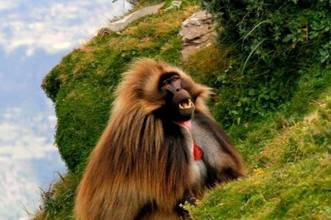 Two days Lake Wenchi and Menagesha Forest - A Close Look at the Itinerary