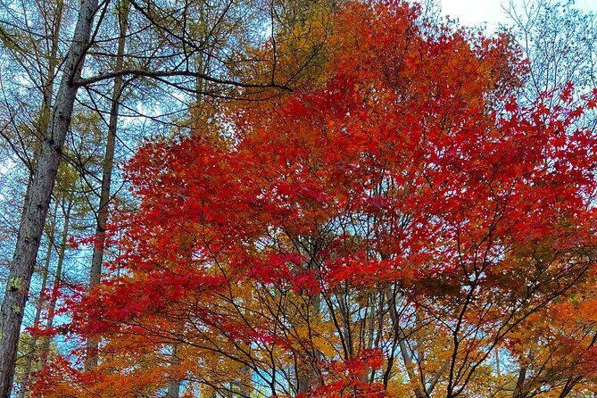 Two Days Nikko Cycling Tour guided by a Local Monk - FAQs