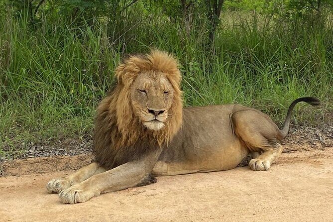 Two Days, One Night Tour: Blyde River to Kruger National Park - Key Points