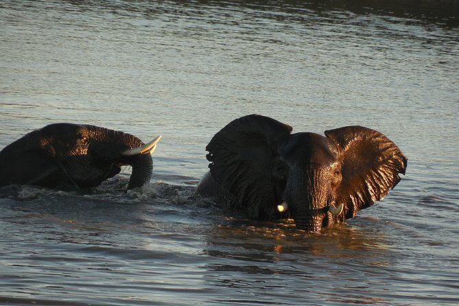 Two Days, One Night Tour: Blyde River to Kruger National Park - Authentic Experiences and Reviews