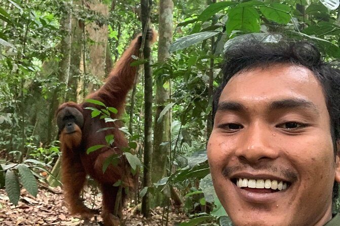 Two days orangutans adventure in Gunung Leuser - Practical Tips for Future Travelers