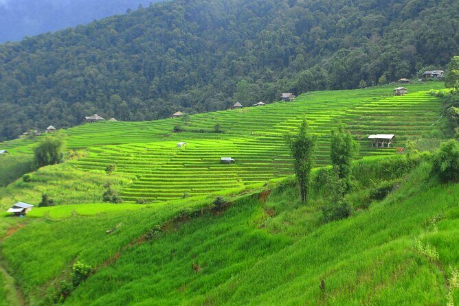 Two Days Pa Pong Piang - Exploring the Itinerary in Detail