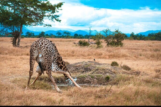 Two Days Safari by Train - Final Thoughts: Is It Worth It?