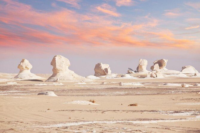 Two Days Tour To Bahariya Oasis And White Desert From Cairo - Authentic Experiences & Learned Insights