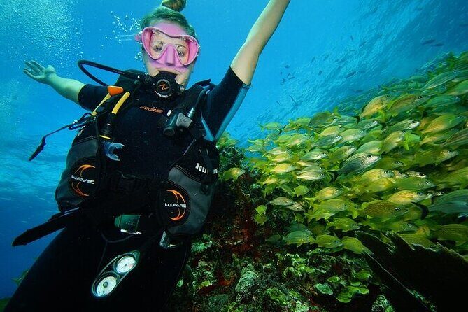 Two Dives and Class for Begginers Divers in Cancun - The Value of This Experience