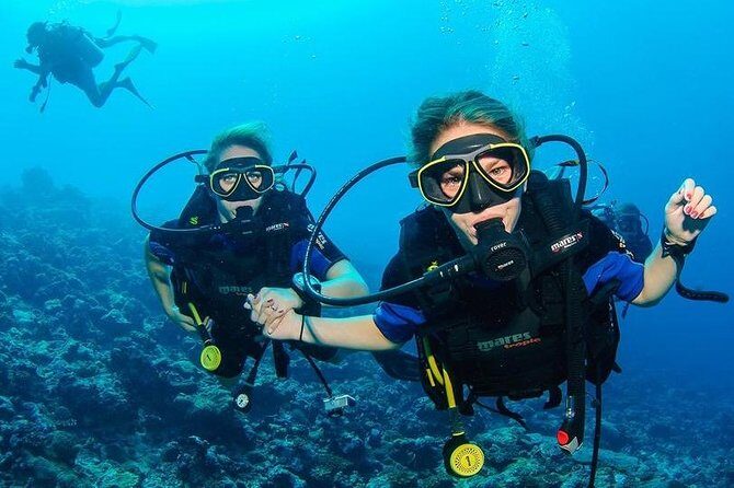 Two Dives for certified divers in Fujairah - Key Points