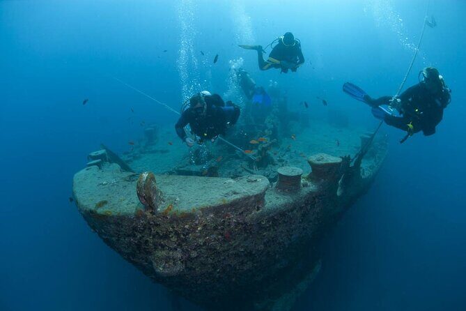 Two dives For Professional Divers Full Day Trip Wreck SCUBA equipment - Hurghada - Why This Trip Offers Solid Value