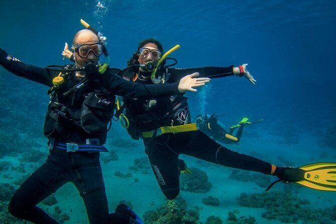 Two dives For Professional Divers Full Day Trip Wreck SCUBA equipment - Hurghada - The Sum Up: Is This Trip Worth It?