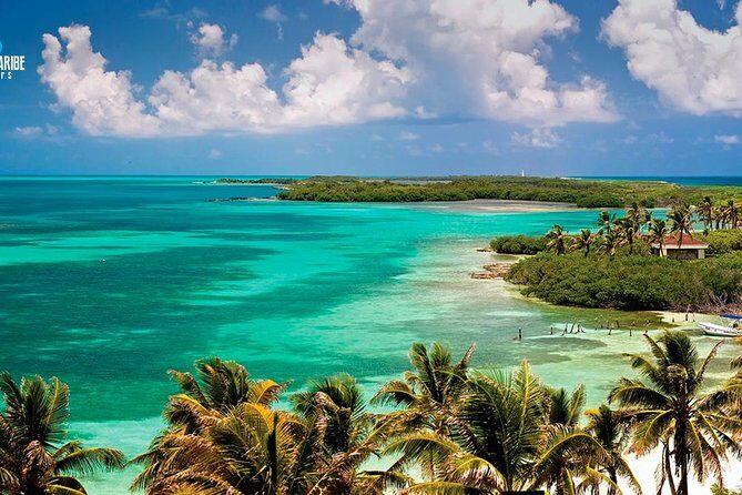 Two Fantastic Islands To Discover: Tour To Contoy & Isla Mujeres - Overview of the Tour to Contoy & Isla Mujeres