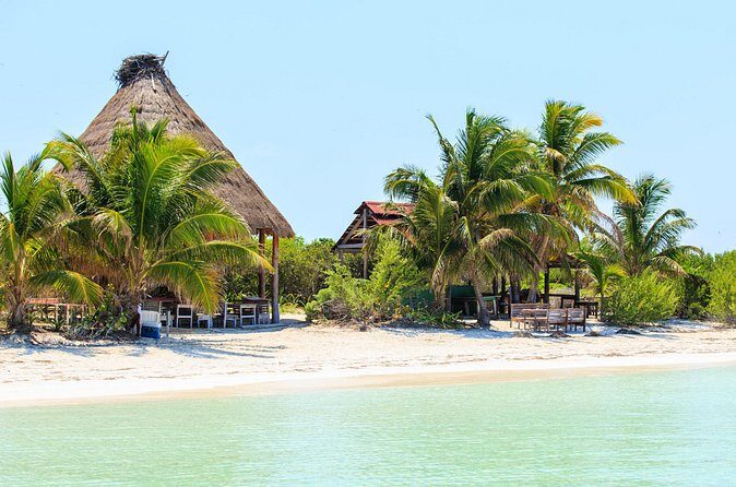 Two Fantastic Islands To Discover: Tour To Contoy & Isla Mujeres - Contoy National Park: A Birdwatcher’s Paradise