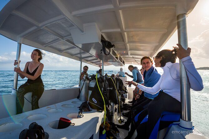 Two fun dives morning trip (Certified Divers only) - Final Thoughts