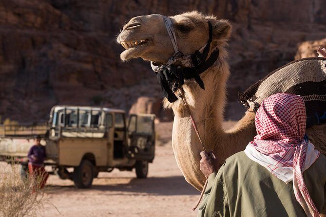 Two-Hour Jeep Safari "Wadi Rum Highlights!" w/ Professional Guide - Final Thoughts: Who Will Love This Tour?