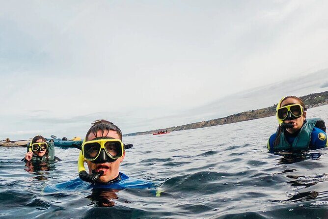 Two Hour Kayak and Snorkel Tour for Two in La Jolla - Authentic Experiences and Honest Feedback