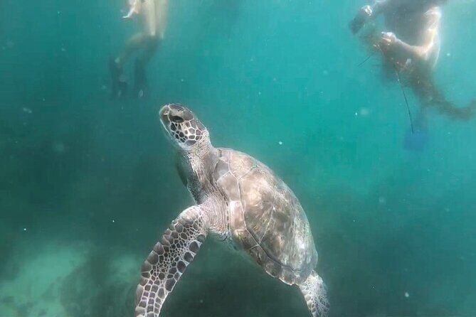Two Hour Kayak and Snorkel Tour for Two in La Jolla - Practical Tips for Your Trip