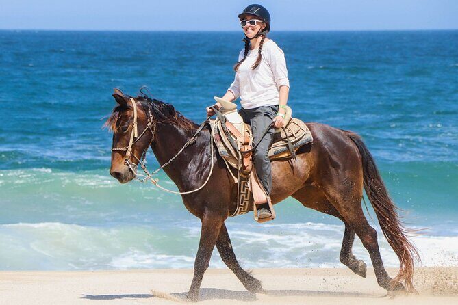 Two hours adventure Horse Riding with Transfer From Hurghada - Key Points