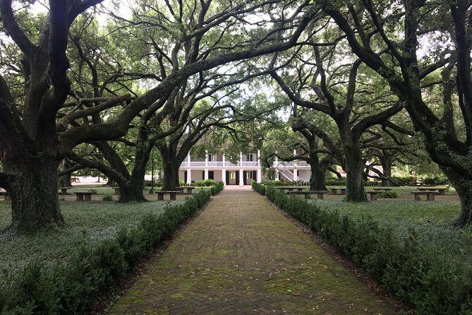 Two Plantation Tour: Oak Alley and Laura or Whitney - Practical Tips
