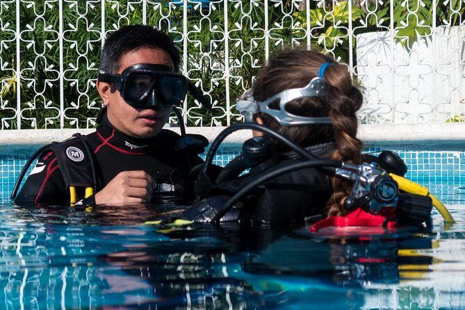 Two reef discovery dives with professional instructor (no experience necessary) - What’s Included and What’s Not