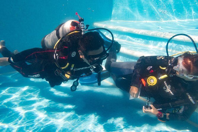 Two reef discovery dives with professional instructor (no experience necessary) - The Atmosphere and Customer Experience