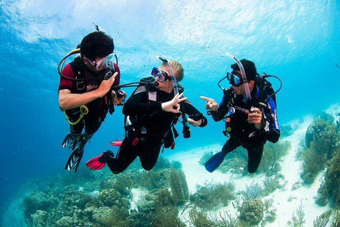 Two reef discovery dives with professional instructor (no experience necessary) - Who Should Consider This Tour?