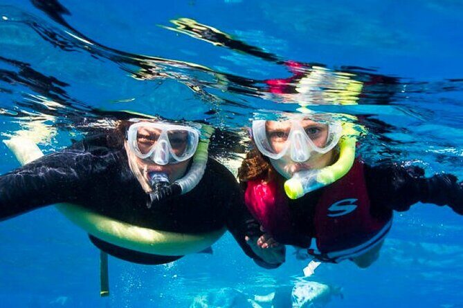 Two Stop Snorkel Adventure from Maui - An Overview of the Itinerary and Experience
