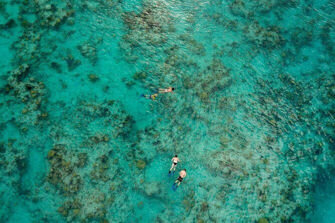 Two Stop Snorkel and Shipwreck from Dockyard - Key Points