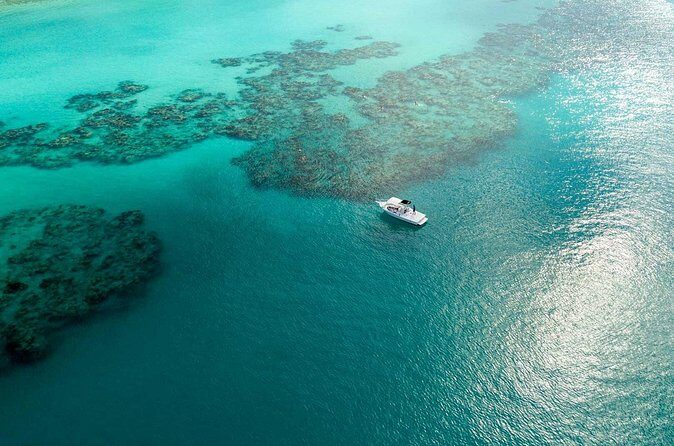 Two Stop Snorkel and Shipwreck from Dockyard - The Sum Up