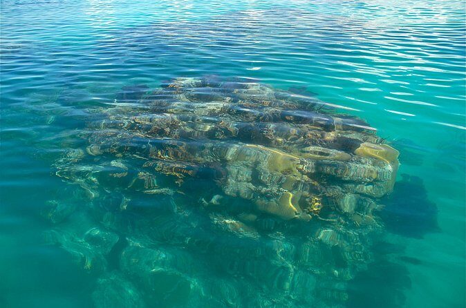 Two Stop Snorkel and Shipwreck from Dockyard - FAQ