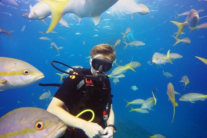 Two-Tank Dive for Certified Diving in St Thomas - The Value for Money