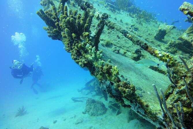Two-Tank Dive for Certified Diving in St Thomas - Who Should Book This Tour?
