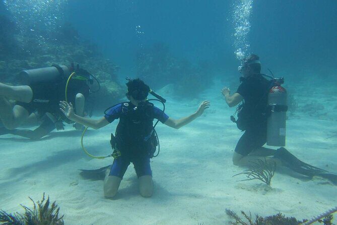 Two Tank Dive in Montego Bay w/Certified Divers - A Closer Look at the Montego Bay Two Tank Dive Experience