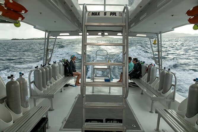 Two-Tank Morning Dive Trip for Certified Divers - Authentic Experiences and Tips