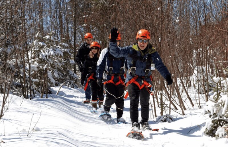 Tyroparc: Via Ferrata and Hiking in the Laurentians - What’s Included and What to Bring