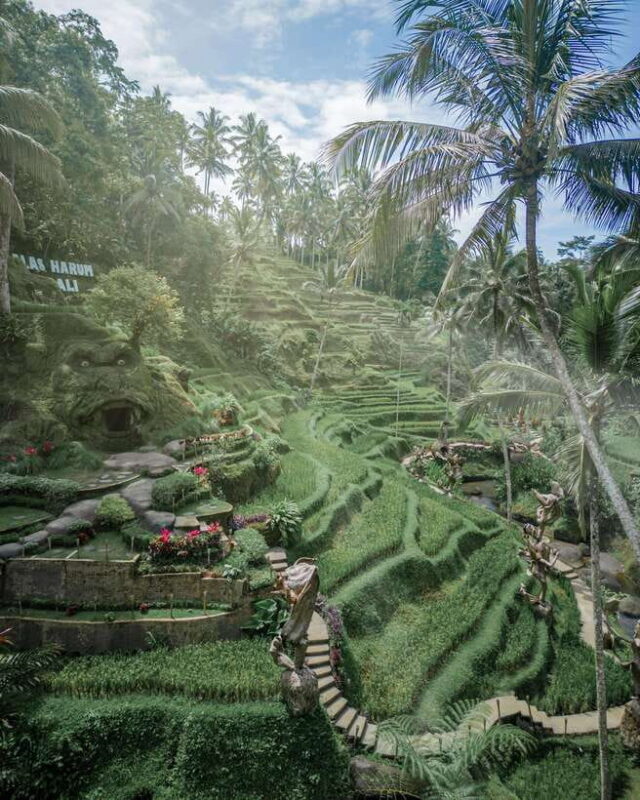 Ubud: Alas Harum Day-Pass, Swing, Sky Bike & Flying Fox - Key Points