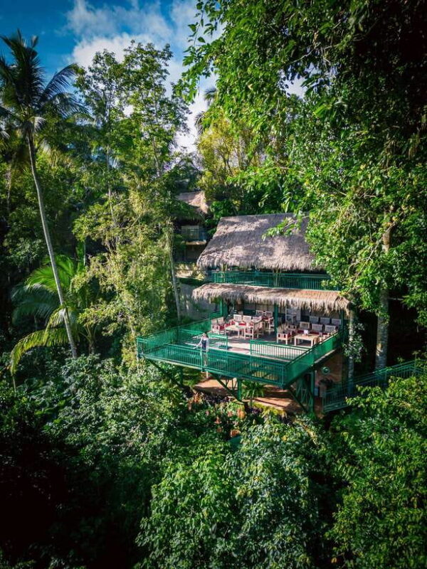Ubud: Alas Harum Day-Pass, Swing, Sky Bike & Flying Fox - A Practical Look at the Ubud: Alas Harum Experience