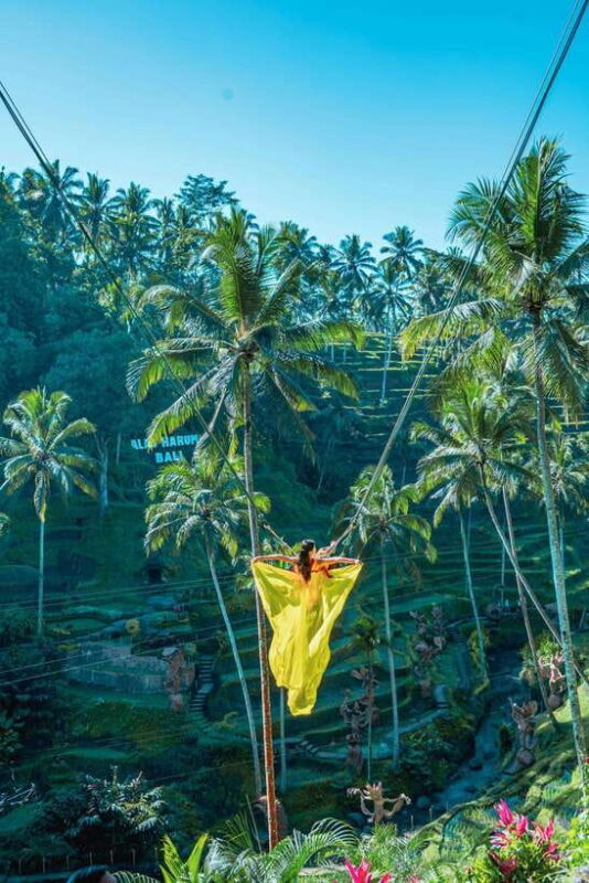 Ubud: Alas Harum Day-Pass, Swing, Sky Bike & Flying Fox - Final Thoughts