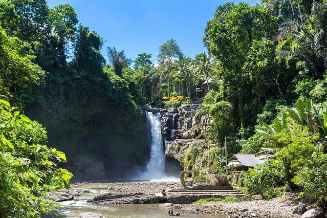 Ubud All-Inclusive Tour with Swing and Lunch - Introduction: What Makes This Ubud Tour Stand Out?