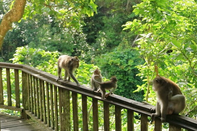 Ubud All-Inclusive Tour with Swing and Lunch - Final Thoughts: Is It Worth It?