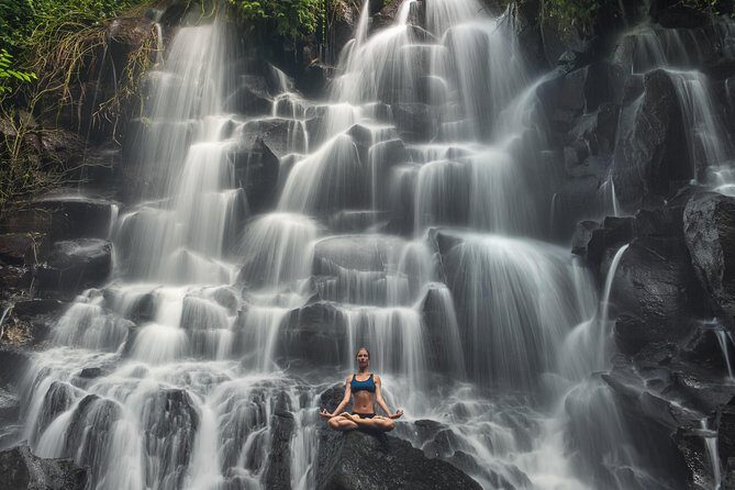 Ubud and Tanah Lot Temple Small Group Sunset Tour - An In-depth Look at the Tour Experience