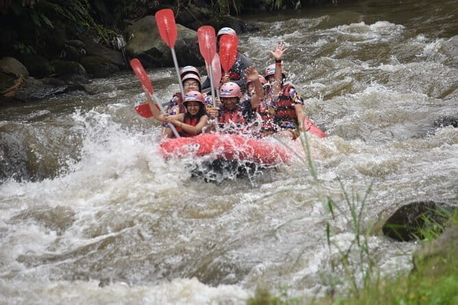 Ubud Ayung River Rafting with Meeting Point or Pickup - The Sum Up: Who Is This Tour Perfect For?