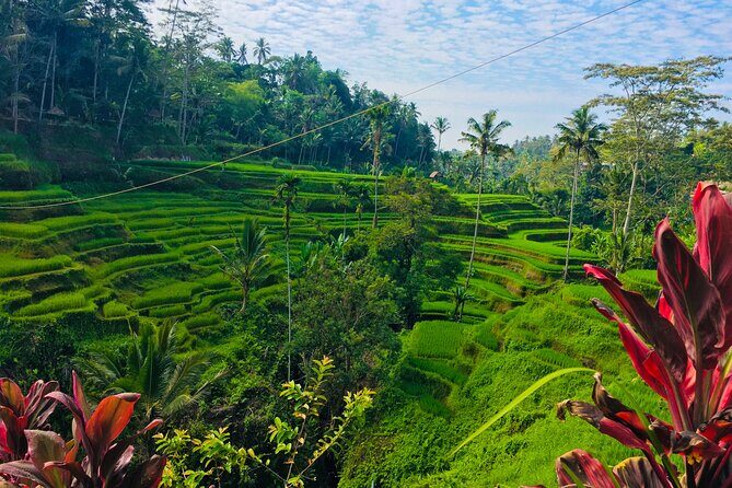 Ubud Best Tour - Who Would Love This Tour?