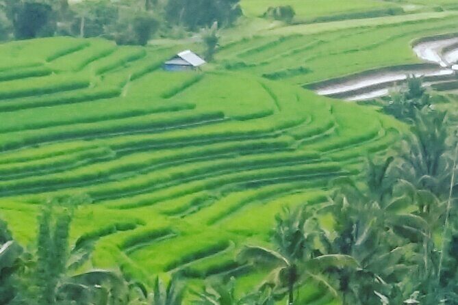Ubud Buggy Adventure & Costumize Activities & cultural tours - The Thrill of the Muddy Off-Road Tracks