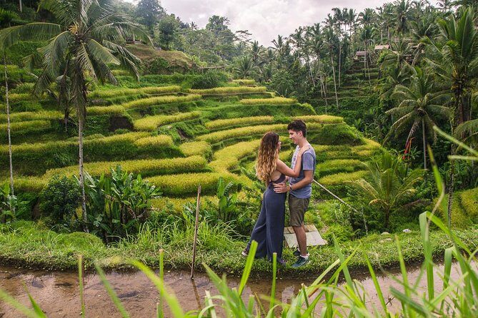 Ubud City Tour II: Monkey Forest, Palace, Art Market, and Rice Terrace - In-Depth Look at the Tour Experience