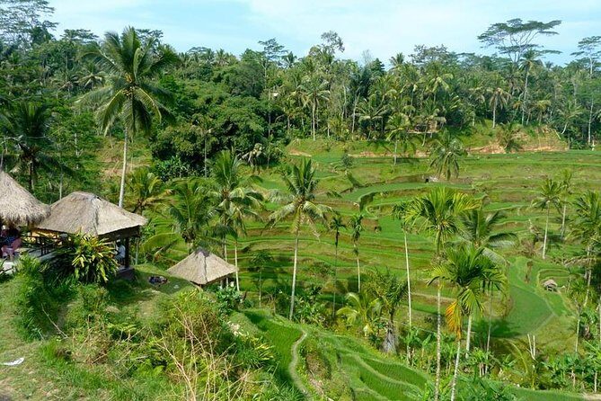 Ubud Combine Mount Batur Kintamani Tour - The Practical Aspects