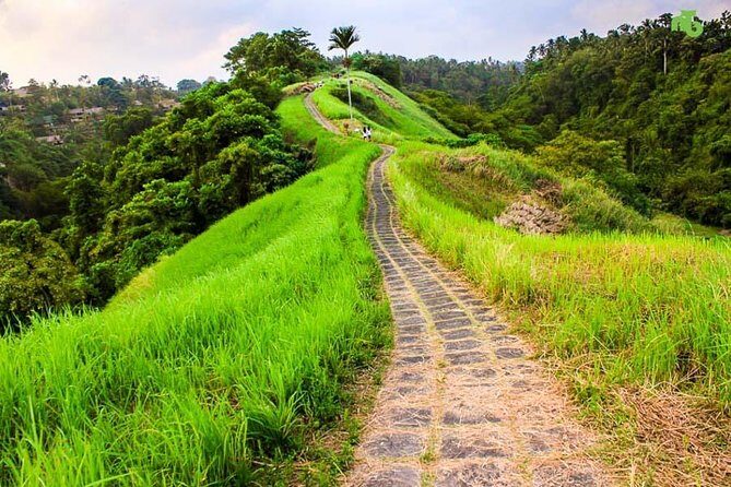 Ubud Countryside Tour: Campuhan Ridge Walk and Rice Terrace - Exploring Bali’s Countryside in Style