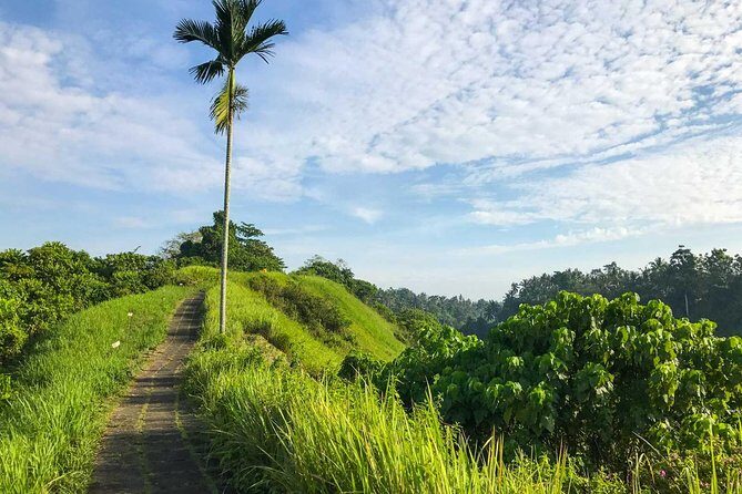 Ubud Countryside Tour: Campuhan Ridge Walk and Rice Terrace - What’s Included and What to Consider