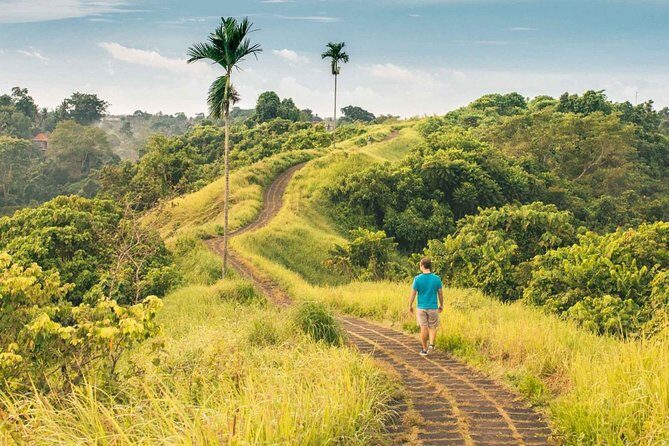 Ubud Countryside Tour: Campuhan Ridge Walk and Rice Terrace - The Value Proposition